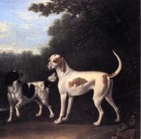 Two of the Duchess of Marlborough's Dogs