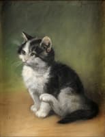 The Kitten