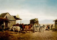 California Stagecoach Halt