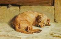 Watching Dog