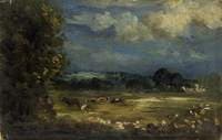Britford Vale: Water Meadows