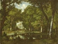Pond in the Woods