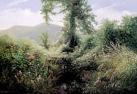 Catskill Mountains, Shandaken, N.Y.