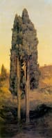 Italian Cypresses