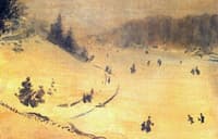 Snow Fields