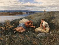 The Siesta