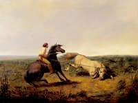 The Lasso