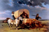 The Pioneers