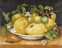Still Life with a Bowl of Citrons