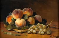 Still Life with Fruit