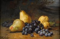 Still Life with Fruit