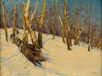 Wild boar in winter forest