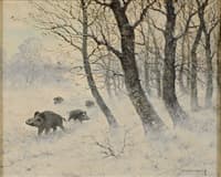 Wild boar in winter forest