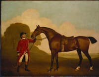 A Bay Horse with a Groom