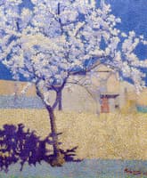 Tree in Bloom
