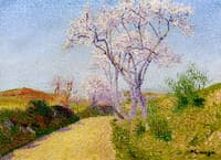 Road with Flowering Almond Trees