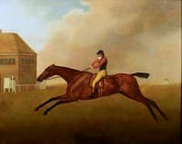 'Baronet' with Samuel Chifney up