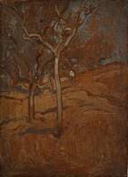 Assisi Woodland