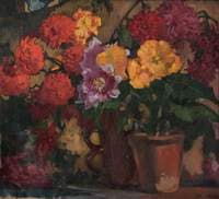 Begonias