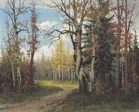 A Forest Road
