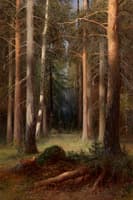 A Pine Grove