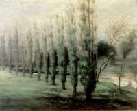 Poplars at Dawn