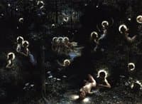 The Fireflies