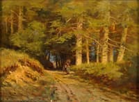 Forest Landscape