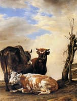 Two Cows and a Bull beside a Fence