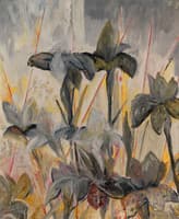 Irises