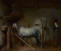 Horse Stable