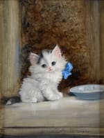 Kitten