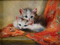 Kittens
