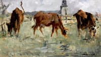 Cows at a Pasture