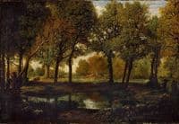 Pool in the Forest