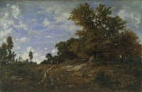 The Edge of the Woods at Mont Gerard, Fontainebleau Forest