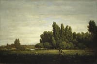 A Meadow Bordered by Trees