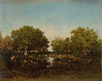 The Pool (Memory of the Forest of Chambord)