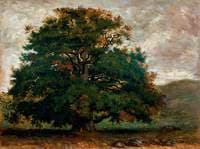 A Tree in Fontainebleau Forest