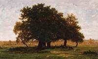 Oak Grove, Aprement