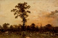 Edge of the Forest, Setting Sun