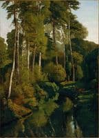 Stream in the Forest