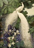 White Peacocks