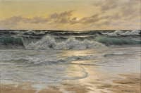 The Surf