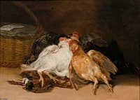 Dead Birds