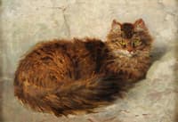The Cat