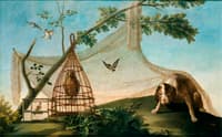 Hunting with Caged Birds
