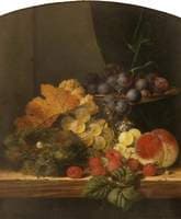 Still Life with Fruit and a Bird's Nest