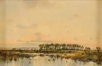 Lakelands