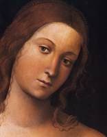 Venus (détail)